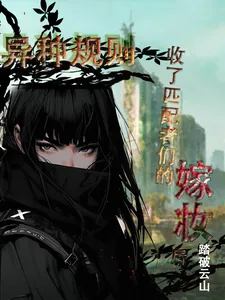 《异种规则：收了匹配者们的嫁妆后》小说封面