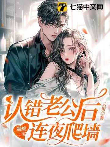 《认错老公后，她携三宝连夜爬墙》小说封面