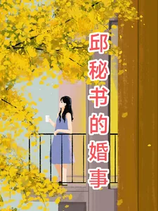 《邱秘书的婚事》小说封面
