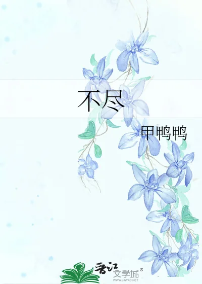 《不尽》小说封面
