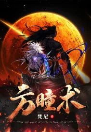 《方瞳术》小说封面