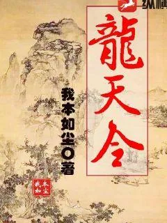 《龙天令》小说封面