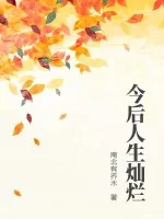 《今后人生灿烂》小说封面