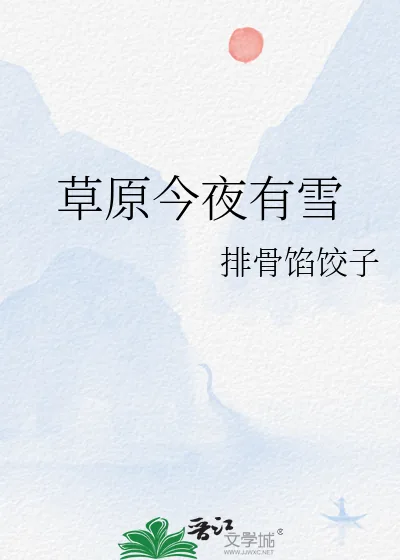 《草原今夜有雪》小说封面