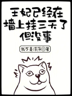 《王妃已经在墙上挂三天了，但没事》小说封面
