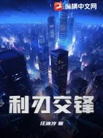 《利刃交锋》小说封面