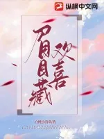 《眉目藏欢喜》小说封面