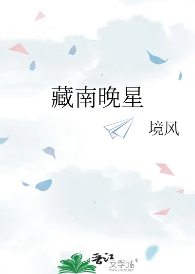 《藏南晚星》小说封面