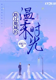 《路过他城的温柔时光》小说封面
