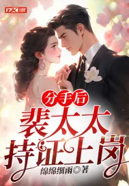 《分手后,裴太太持证上岗》小说封面