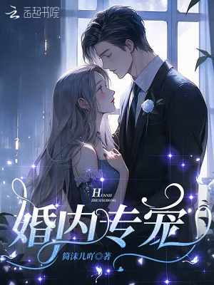 《婚内专宠》小说封面
