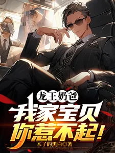 《龙王奶爸:我家宝贝你惹不起!》小说封面