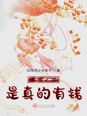《太夫人她是真的有钱》小说封面