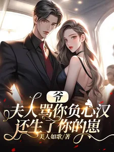 《爷，夫人骂你负心汉还生了你的崽》小说封面