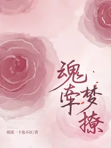 《魂牵梦撩》小说封面
