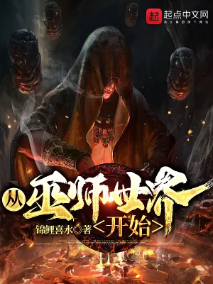 《从巫师世界开始》小说封面