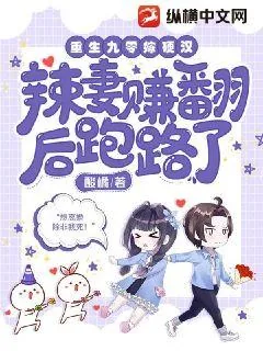 《重生九零嫁硬汉,辣妻赚翻后跑路了》小说封面
