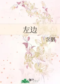 《左边》小说封面