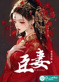 《臣妻》小说封面