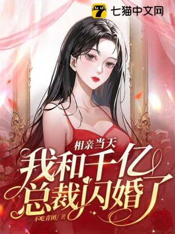 《相亲当天，我和千亿总裁闪婚了》小说封面