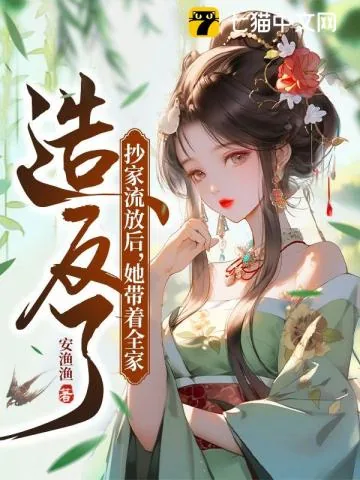 《抄家流放后,她带着全家造反了》小说封面