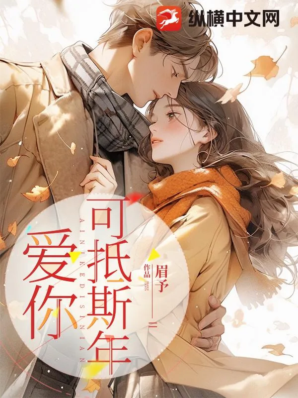 《爱你可抵斯年》小说封面
