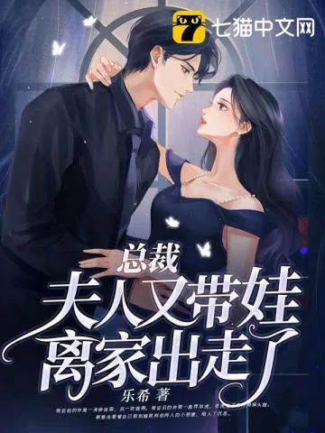 《总裁,夫人又带娃离家出走了》小说封面