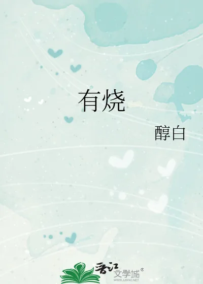 《有烧》小说封面
