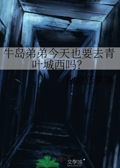 《牛岛弟弟今天也要去青叶城西吗?》小说封面