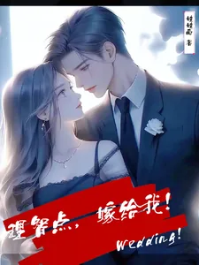 《理智点,嫁给我!》小说封面
