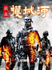 《铁血护城河》小说封面