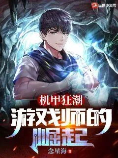 《机甲狂潮：游戏师的崛起》小说封面