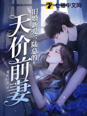 《旧婚新爱：陆总的天价前妻》小说封面