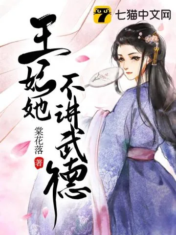 《王妃她不讲武德》小说封面