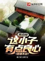 《四合院:这小子有点良心,但是不多》小说封面