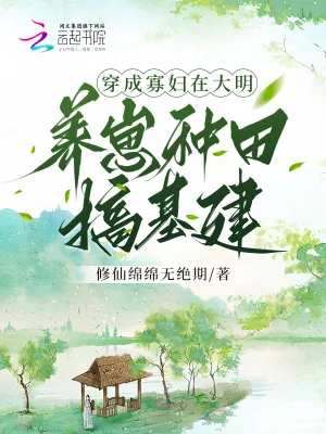 《穿成寡妇,在大明养崽种田搞基建》小说封面