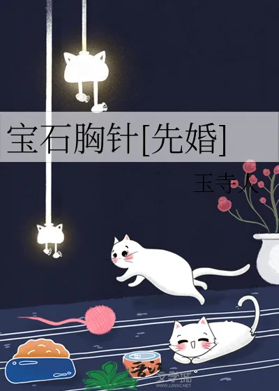 《宝石胸针[先婚]》小说封面