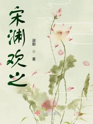 《宋渊欢之》小说封面