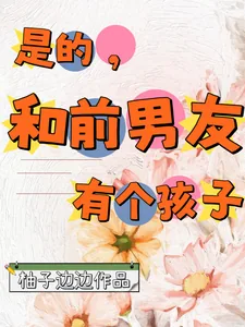 《是的，和前男友有个孩子》小说封面