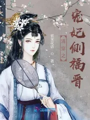 《清穿之宠妃侧福晋》小说封面