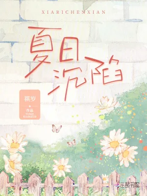 《夏日沉陷》小说封面