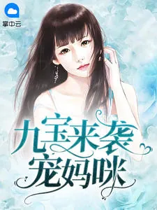 《莫晓蝶》小说封面