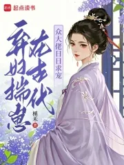 《弃妇揣崽在古代，众大佬日日求宠》小说封面