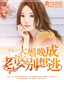 《闪婚宠妻无度》小说封面