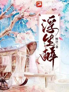 《浮生醉》小说封面