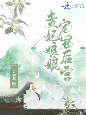 《贵妃娘娘宠冠后宫》小说封面