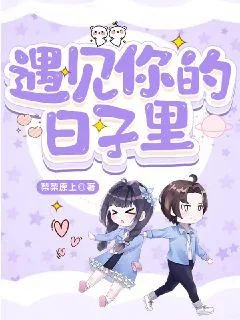 《遇见你的日子里》小说封面