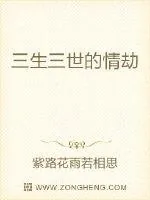 《三生三世的情劫》小说封面