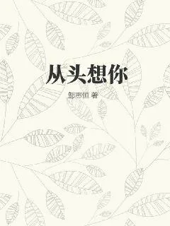 《从头想你》小说封面