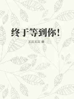 《终于等到你！》小说封面